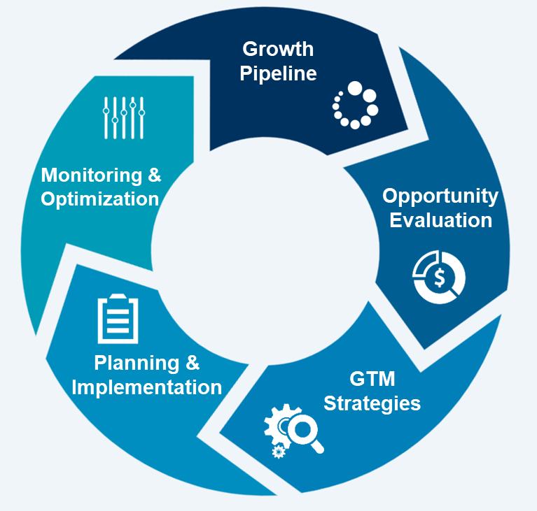 Business Growth Strategy