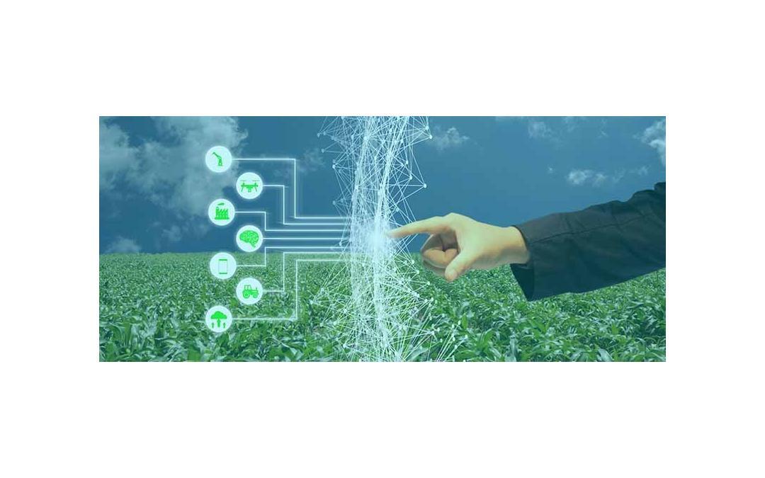 Frost & Sullivan Applauds Hortau for Its Novel Sensor-Based Smart Irrigation Technology