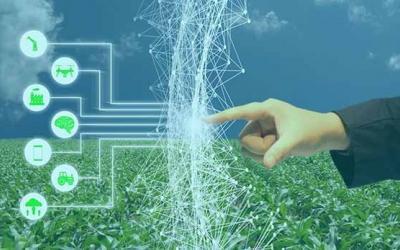 Frost & Sullivan Applauds Hortau for Its Novel Sensor-Based Smart Irrigation Technology