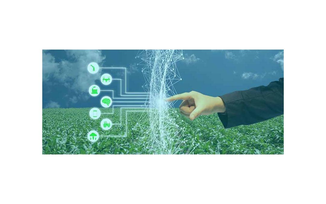 Sensors in Agriculture – Smart to Intelligent