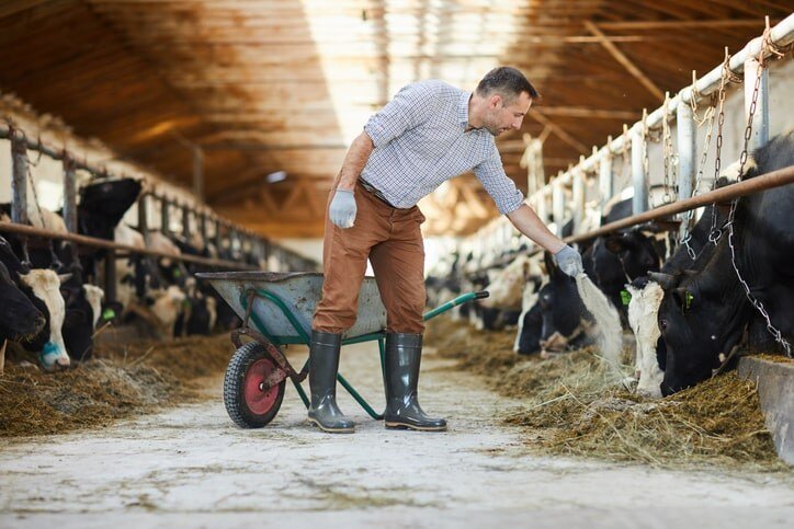 Growth Opportunities in the Global Animal and Pet Nutrition Ingredients Market Look Promising Growth Opportunities in the Global Animal and Pet Nutrition Ingredients Market Look Promising