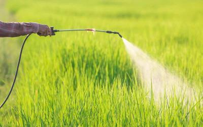 Global Bioherbicides Market Booming with CAGR of 21.3% between 2018 and 2023