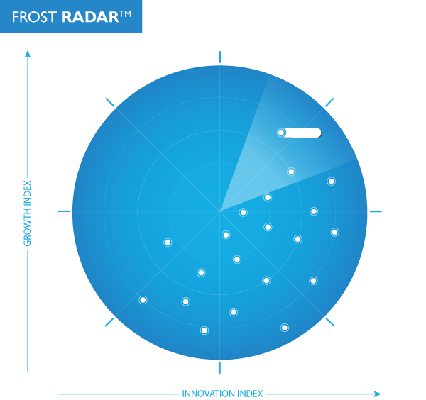 Business Growth Radar