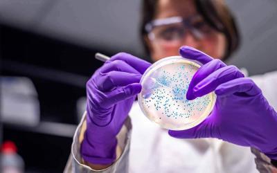 Frost & Sullivan Lauds CytoSorbents for Leading the Critical Care Immunotherapy Segment with its Novel Blood Purification Solution, CytoSorb®