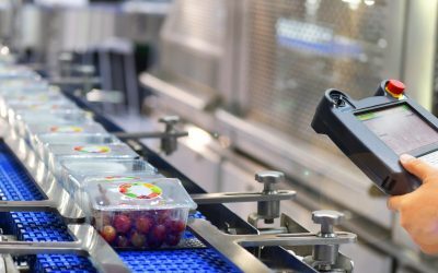 Competition, Increasing Consumer Demand Driving Automation in the Food and Beverage (F&B) Industry in India