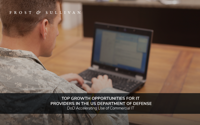 Growth Opportunities for IT Providers