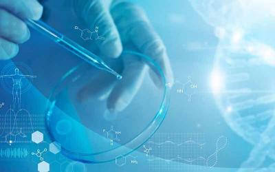 Colorectal Cancer: Targeted and Immune System-based Therapeutics Emerge as Prominent Treatment Modalities