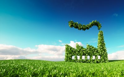 Corporate Carbon-Neutral Strategies Set to Create New Revenue Streams for Companies
