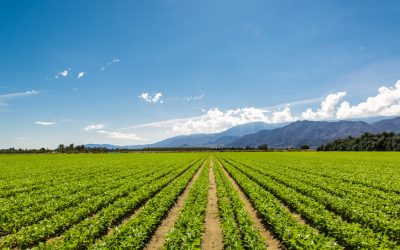 Growth of Sustainable Farming Practices Drives the Agricultural Biologicals Market