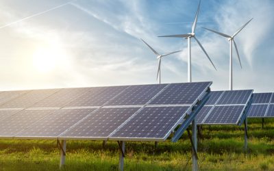 The Rise of Renewables Lead the Way to Decarbonization