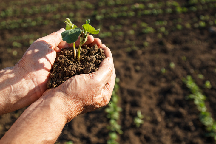 Technology Convergence Driving the Development of Sustainable Crop Protection Solutions