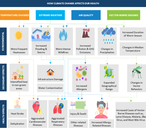 The Impact of Climate Change on the Future of Health