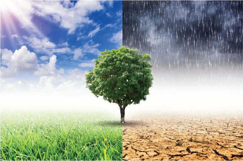 Growth Opportunities in Circular Economy