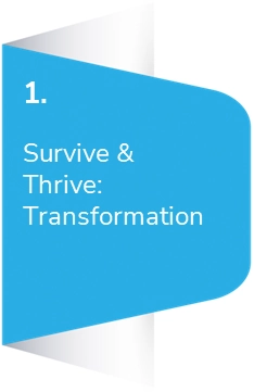 Survive & thrive transformation