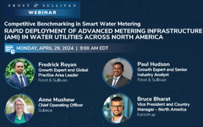 Are You Ready to Drive Growth with Metering Solutions in Water Utilities?