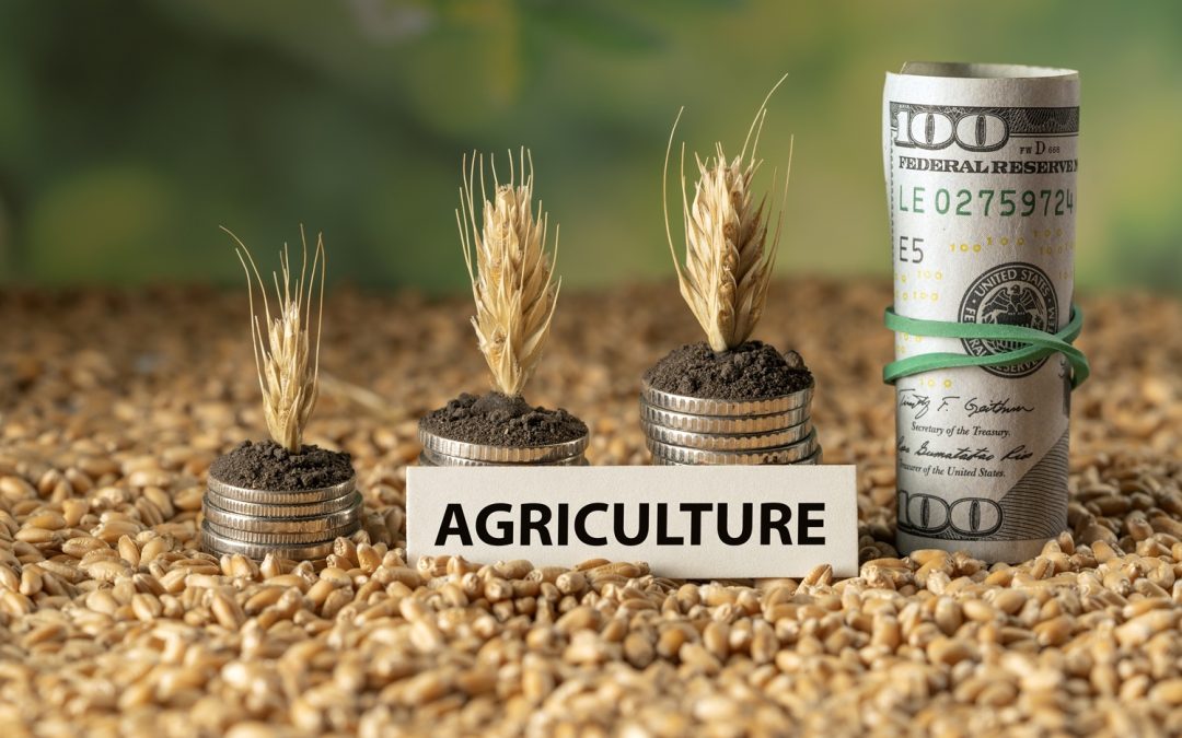 BUDGET 2025-2026 ANALYSIS – Agriculture, Food & Nutrition