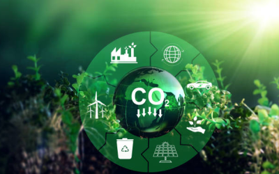 C&I Sector Decarbonisation Gains Momentum Amid Tech Advances, Regulations, and Sustainability Push