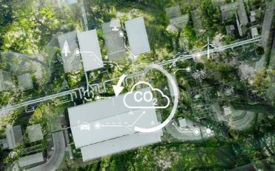 Global Automotive Industry at the Crossroads: The Carbon Neutrality Mandate and Strategic Pathways to Net-Zero by 2030