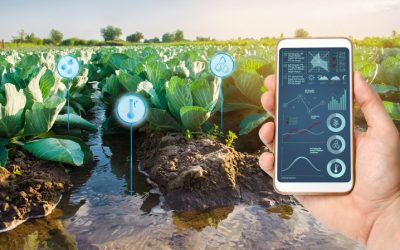 Growth Opportunities in Water Management: Capitalizing on Smart Irrigation and Water Reuse
