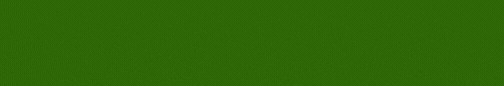 IEW 2026 (504 x 86 px) Banner Telco