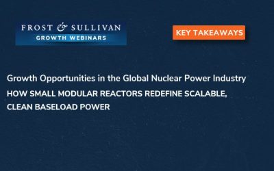 How Small Modular Reactors (SMRs) Are Redefining Growth in Nuclear Power Industry