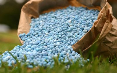 Advancing Modern Agriculture: How Seed & Fertilizer Treatment Innovations Are Driving Efficiency and Growth