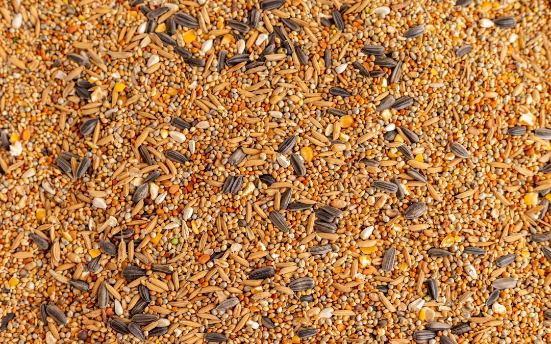 From Supply Shocks to Sustainable Nutrition: Lucrative Growth Opportunities in Animal & Pet Food Ingredients
