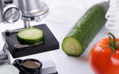 Food Safety Testing at a Turning Point: Meeting Rising Expectations with Smarter Solutions